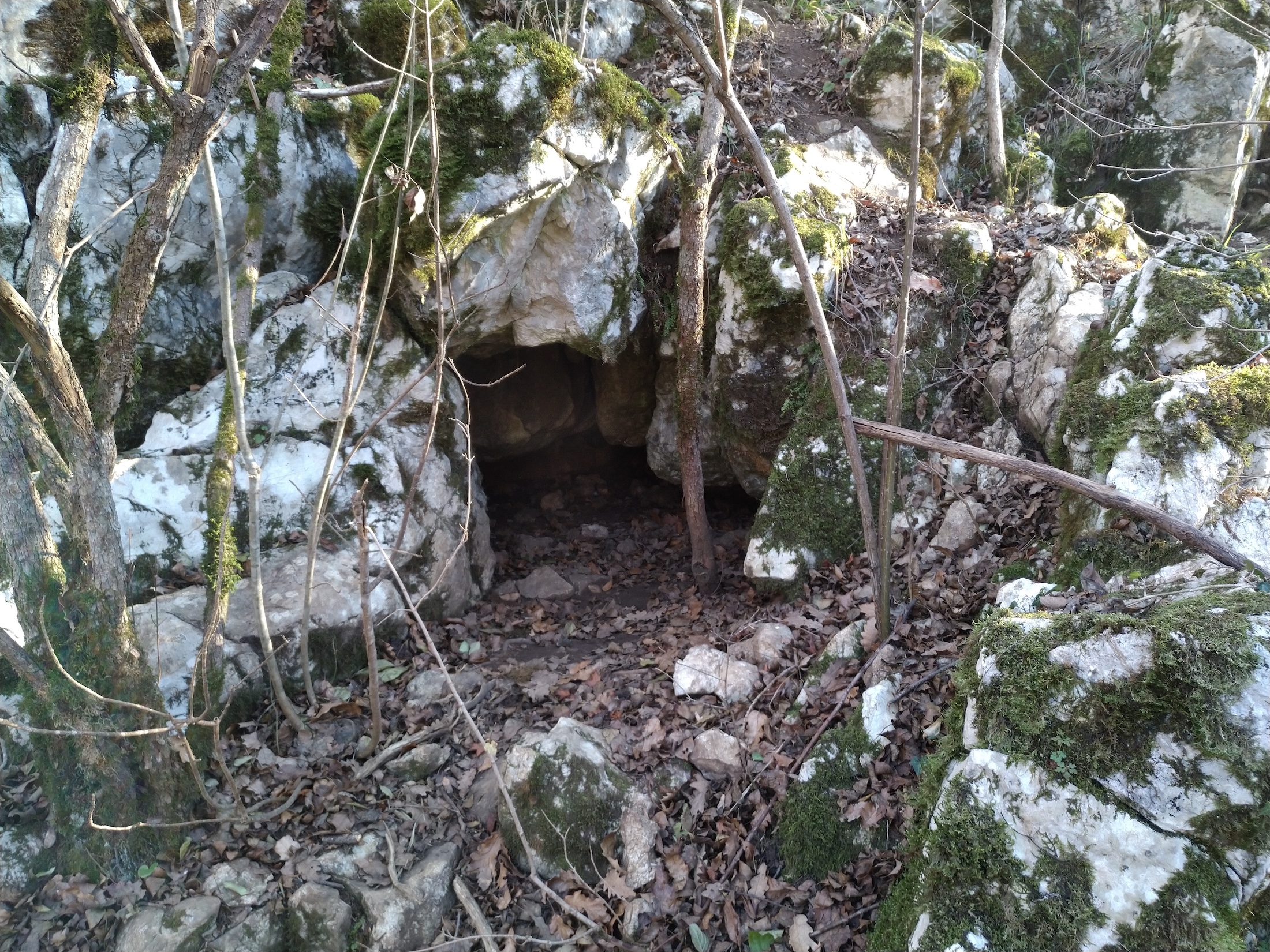 Peștera Limaxului - Image 3